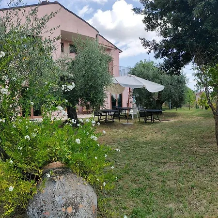 Tenuta Torriti * Civitella d'Agliano